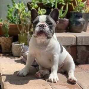 Ruby